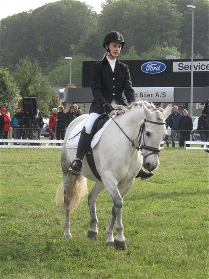 DSP Maus - Kvadrille med garderhusarerne. Foto: Mette Andersen billede 14