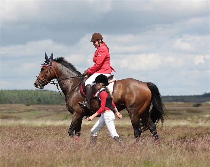 Anden særlig race Tatianna [ R.I.P ] - Foto: Renee Kristensen. Sted: Harrildhede 2011. MJJR billede 18