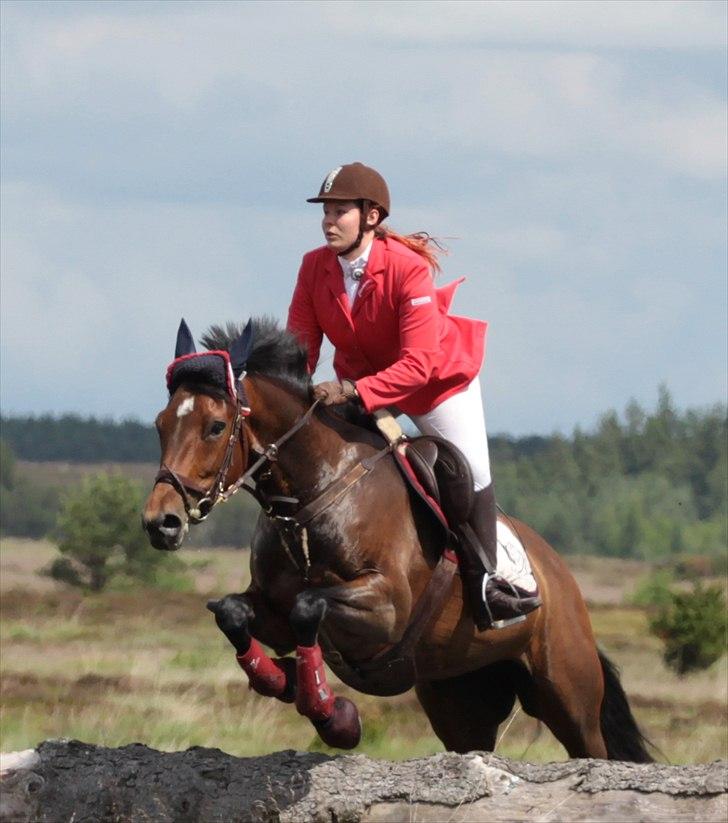 Anden særlig race Tatianna [ R.I.P ] - Foto: Renee Kristensen. Sted: Harrildhede 2011. MJJR billede 19