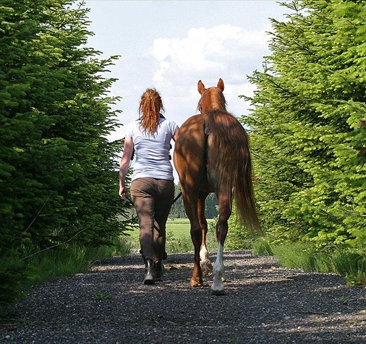 Arabisk fuldblod (OX) Milagro - Milagro som 2års (og mig, da jeg arbejdede på stutteriet, før jeg købte ham).     
Foto: cautzar billede 6