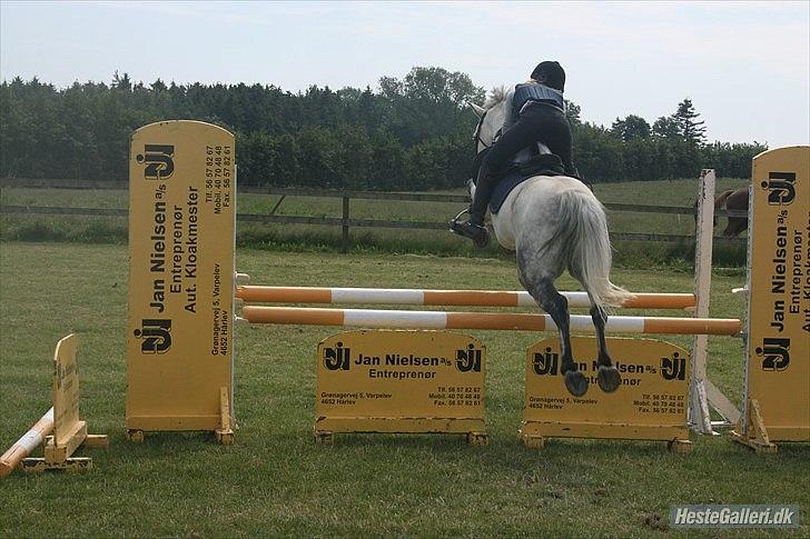 Connemara Tony  - Foto: C.D.C LivePictures billede 14