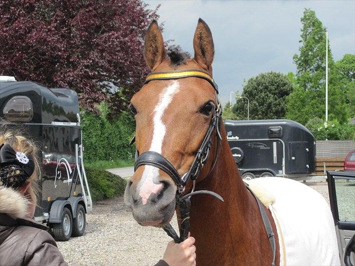 DSP Kentris Athene - Første stævne<3 billede 4