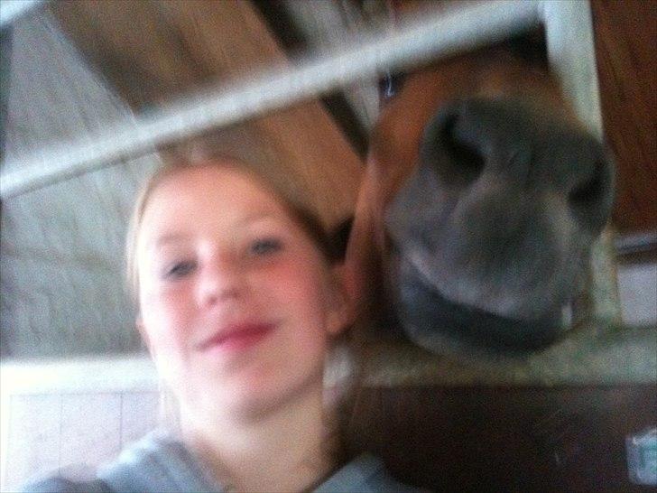 New Forest Yasper billede 15