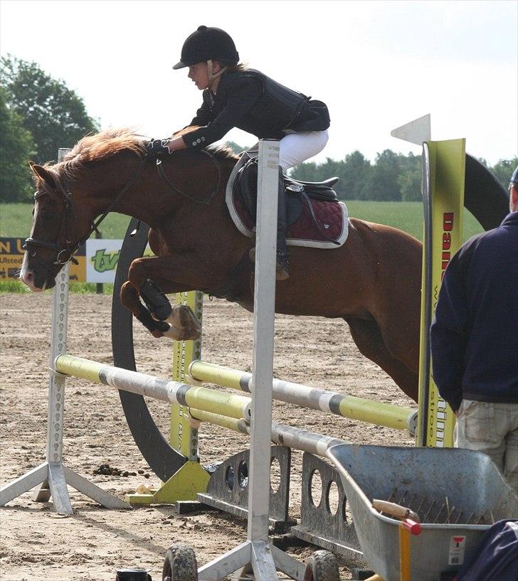 Hollandsk Sportspony Diamant B-pony - Elsker dette billede!
Foto: Pernille Werenberg Jensen - TAk! billede 16