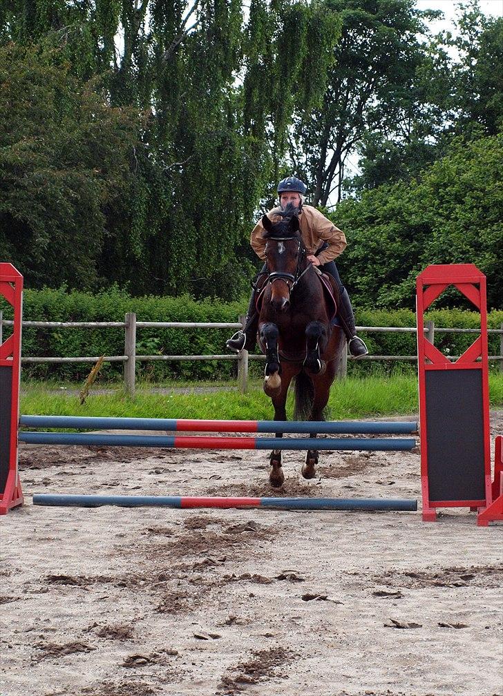 Anden særlig race _EMERSON billede 16