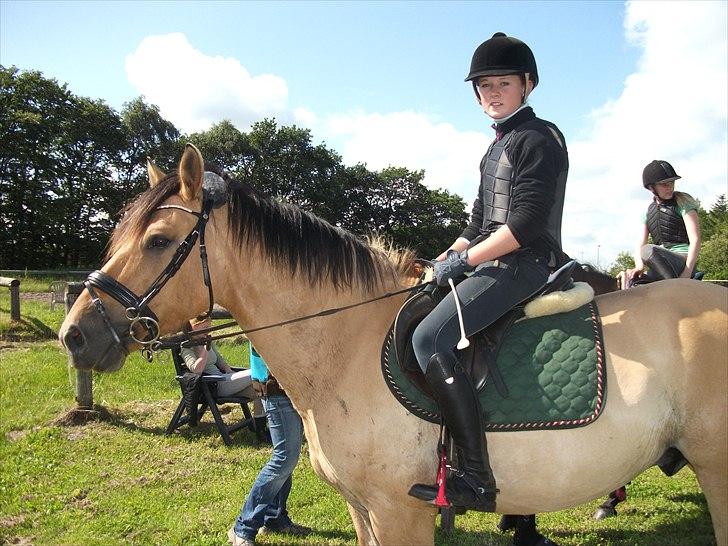 Anden særlig race Monty billede 11