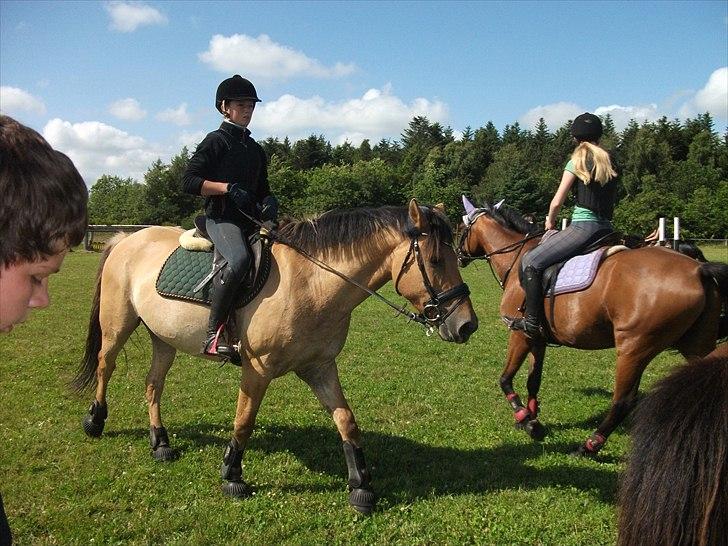 Anden særlig race Monty billede 16