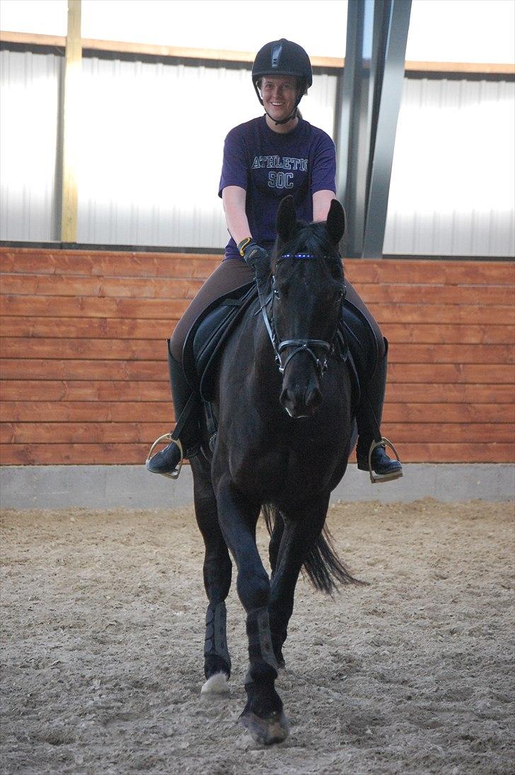 Dansk Varmblod ERA Don Pedro - Dressurtræning juni 11 - taget af Charlotte Kvist billede 15