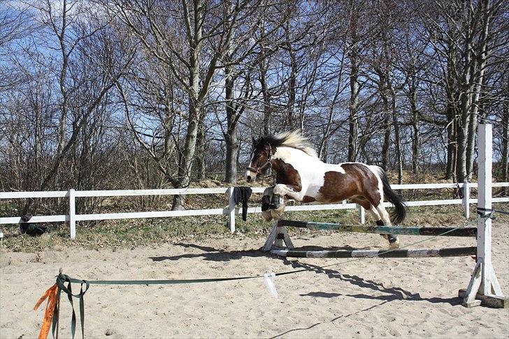 Tinker Juncker billede 13