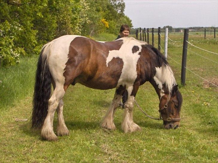 Tinker Juncker billede 16