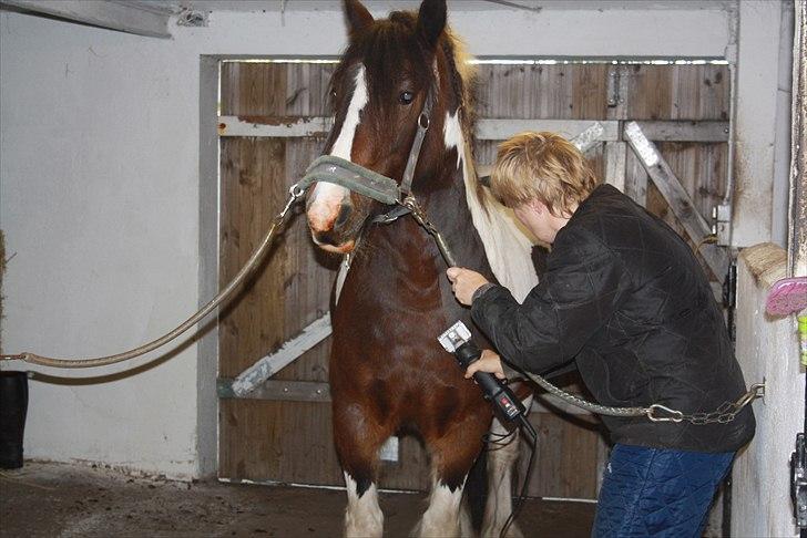 Tinker Juncker billede 18