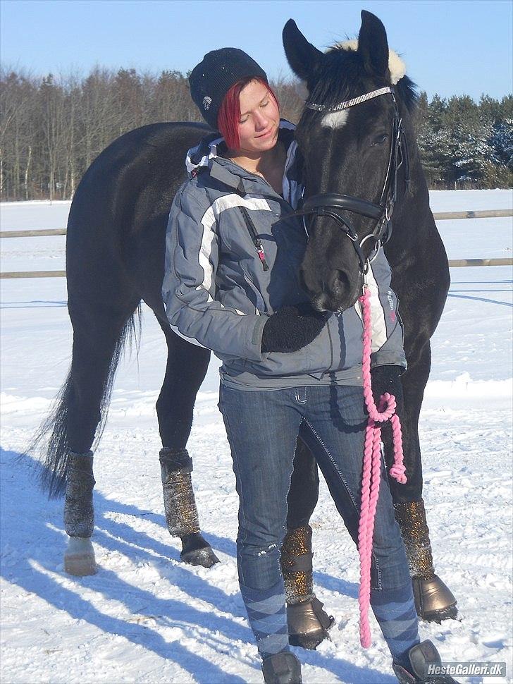 Oldenborg Stjerne af Mosen *SOLGT* billede 5