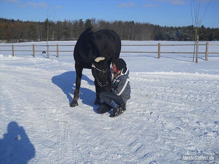 Oldenborg Stjerne af Mosen *SOLGT* billede 6