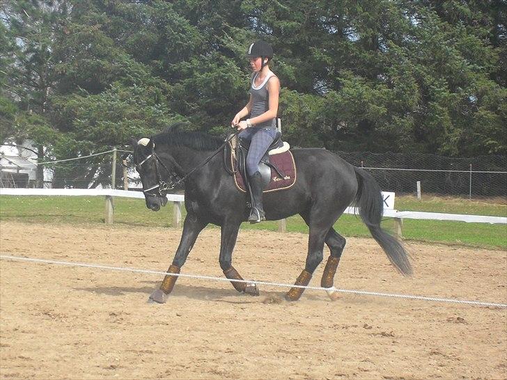 Oldenborg Stjerne af Mosen *SOLGT* billede 9