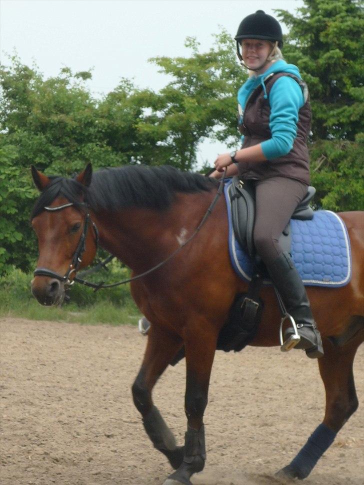Connemara Maskenkol's Rebelix - Rebelix og jeg skridter af efter en dejlig ridetur!:)
 billede 1