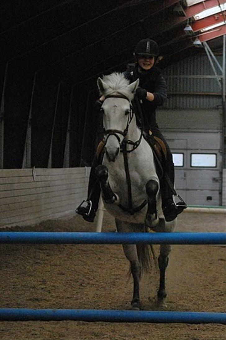 Anden særlig race Jessie - Lille glade og smilende mig, hihi :-P billede 11