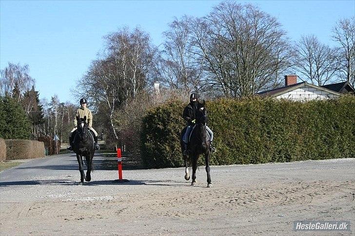 Oldenborg Lady Galina af Bækkeskov - mor og søn. mie og amanda :-) billede 15