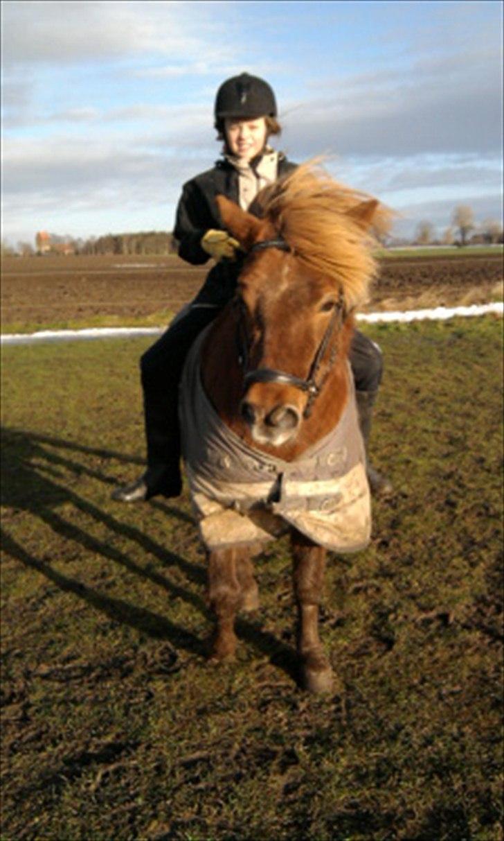 Anden særlig race Anton (den søde ''rullepølse'') billede 2