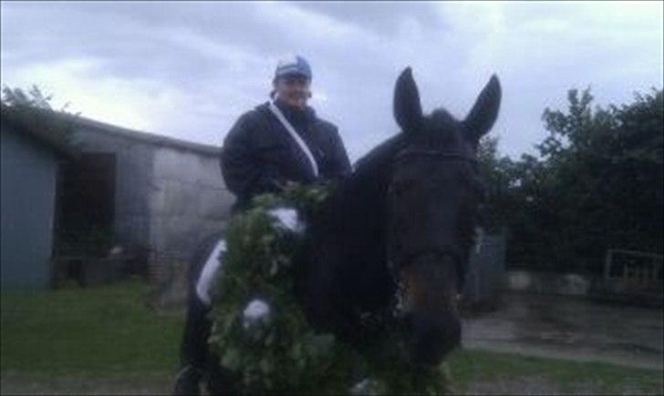 Dansk Varmblod Lanett Egely billede 1