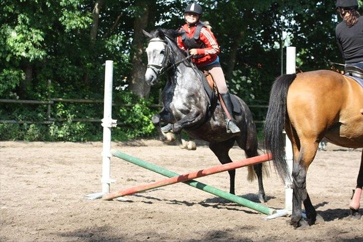 Anden særlig race Caroline! - Haha, Tjek mit ansigt ;P Foto: Sofie :) billede 2