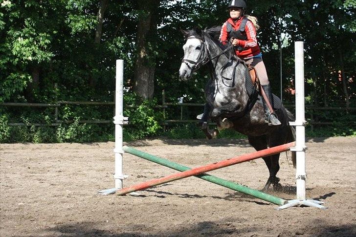 Anden særlig race Caroline! - Lidt springning ;)
Foto: Nina :) billede 8