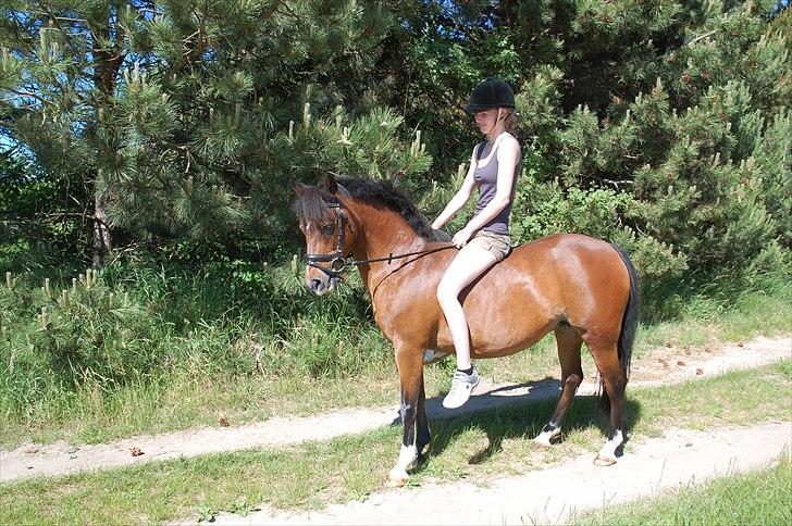 Anden særlig race Lykkebos Beauty billede 18