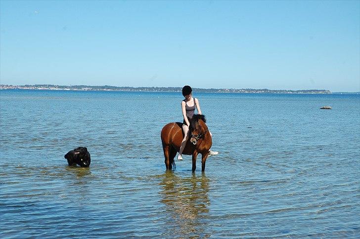 Anden særlig race Lykkebos Beauty - Der er intet som en dejligt badetur på en varm sommerdag:) billede 19