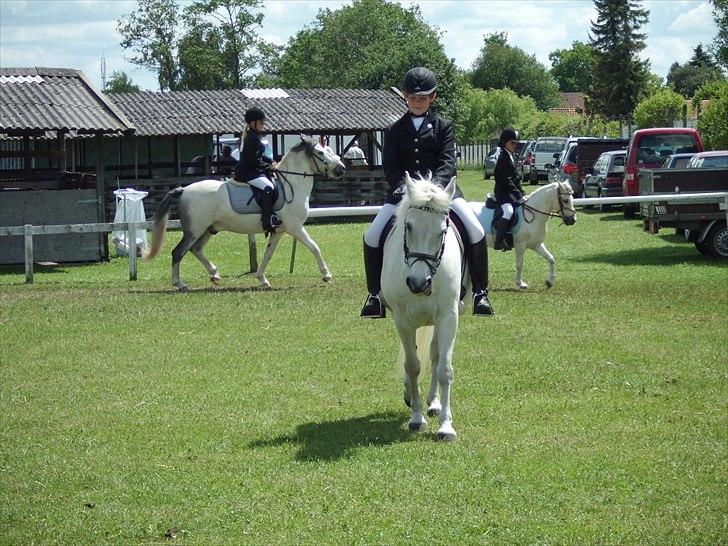 Connemara Perle :) - Juni 2011. Lidt opvarmning til dressurkonkurrencen. billede 11