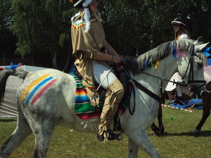 Tysk Sportspony Labello billede 6