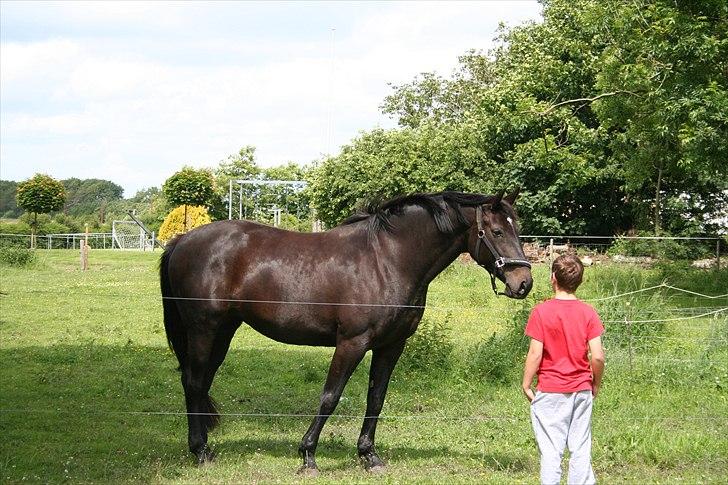 Holstener  Candis A.K.A Herta - Jeg elsker børn ... billede 10