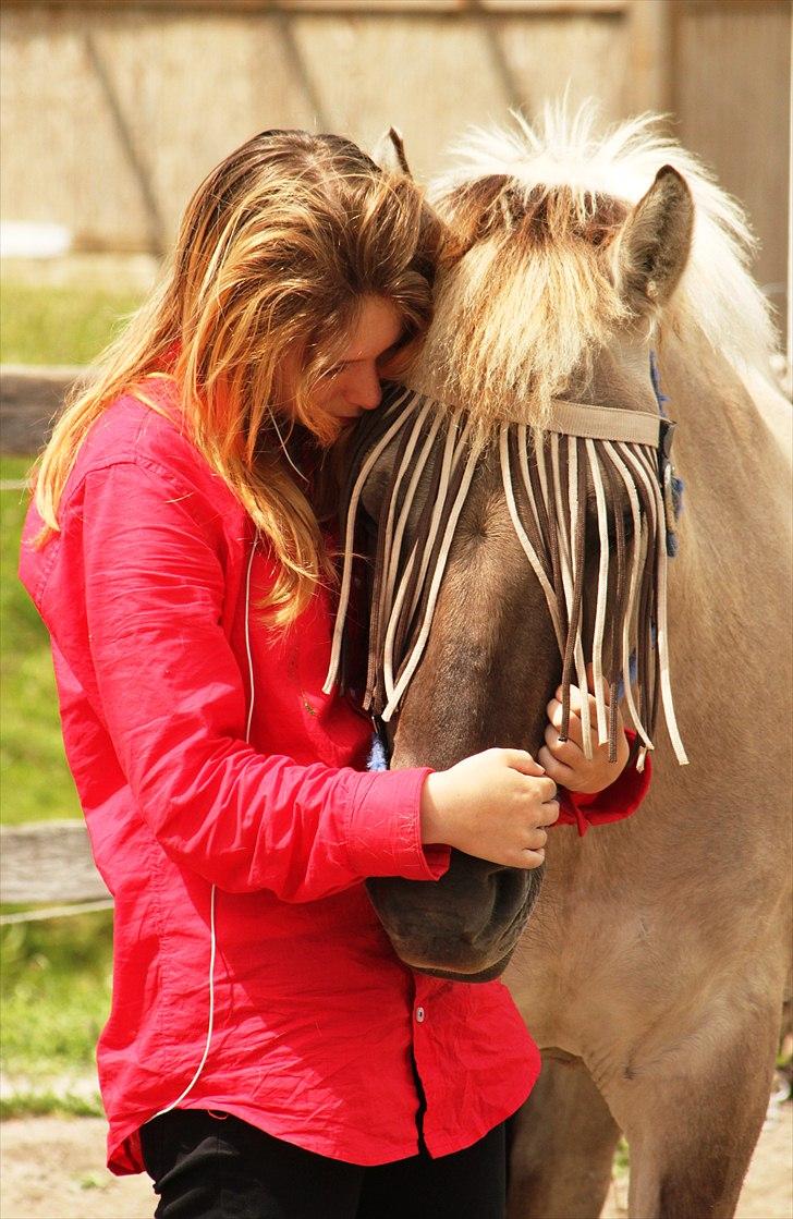 Konik Polski | Gneisti | Hvil i fred - I en periode hvor jeg ikke havde det så godt. Han var en fantastisk støtte. | Foto: Marina Bohn Hansen billede 5