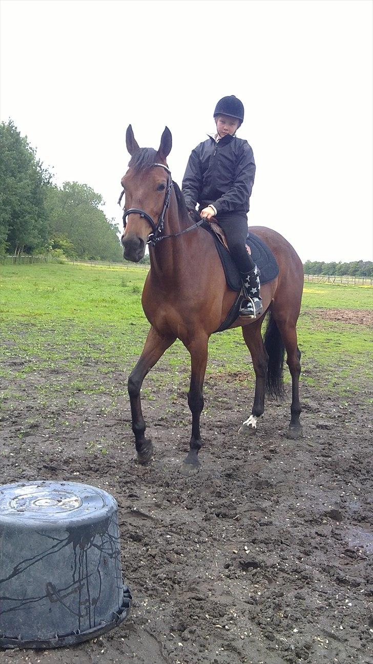 Traver Nicebib G  - Første ridetur på Nice. billede 2