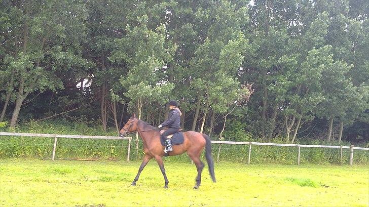 Traver Nicebib G  - Nice ude og ride :) billede 8