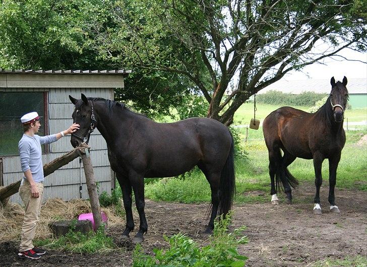 Holstener  Candis A.K.A Herta - hey hej du der student.....kom bare jeg loooover du ikke bliver beskidt....særligt meget  billede 12