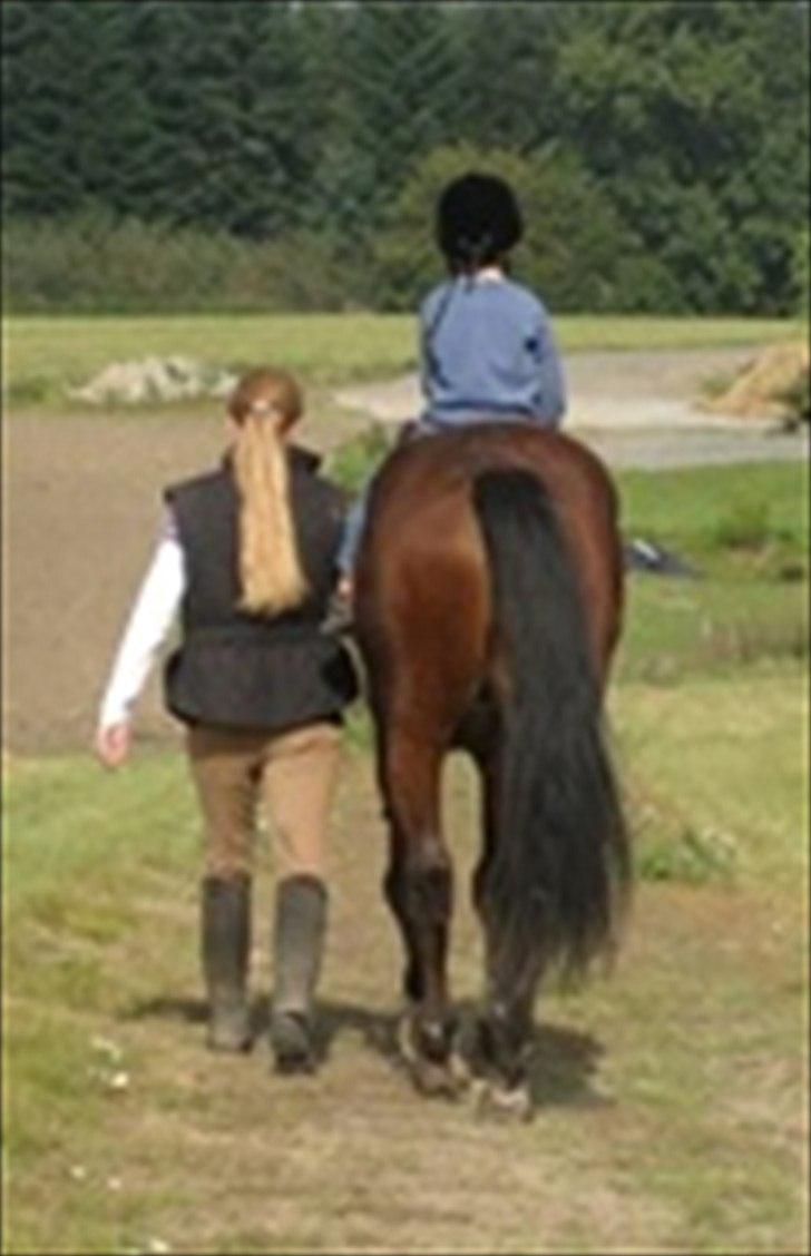 Anden særlig race Fighter  "solgt" - når enden er god er alting godt billede 16