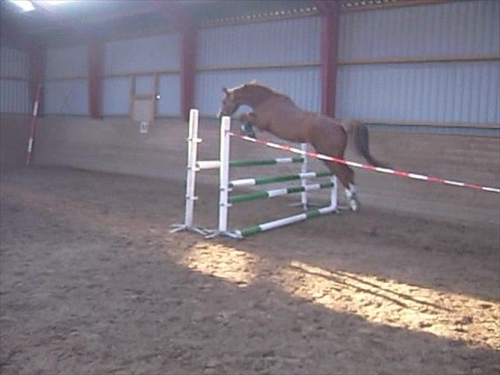 Anden særlig race Suspicious Firefly Flip SOLGT billede 20