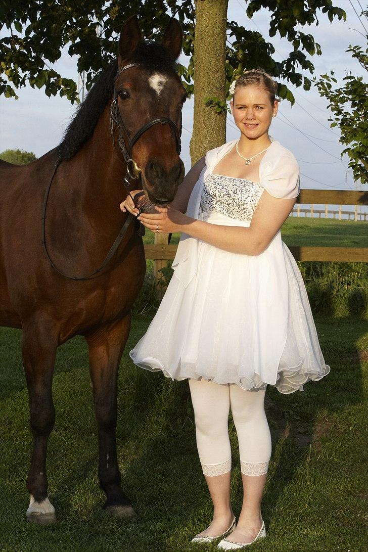 Anden særlig race Medoris  - Konfirmation 2011 Foto: Karin  billede 17