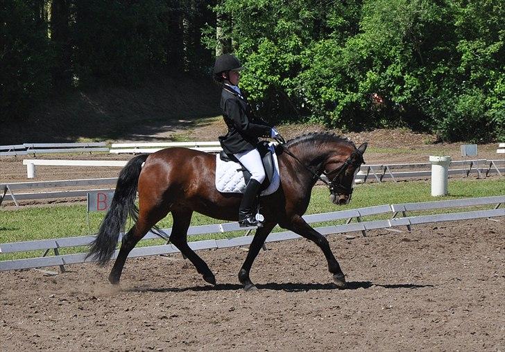 DSP Kelly - Morsø 2011 - LA1 :-) (foto: Cecilie Nybo) billede 19