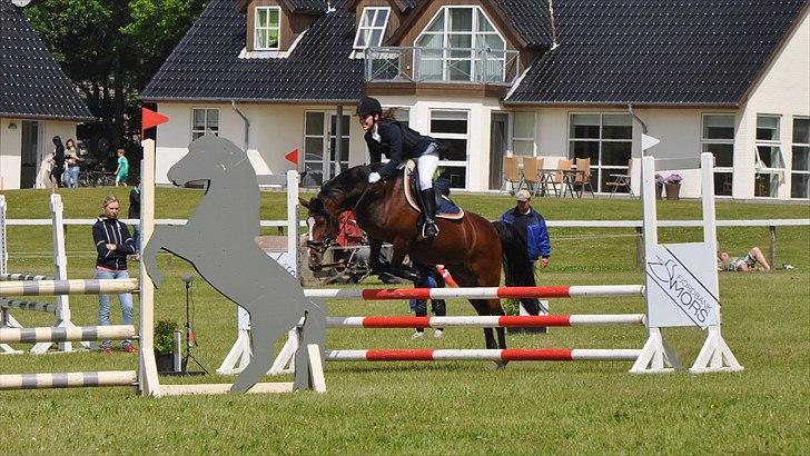 DSP Kelly - Morsø 2011 - LB* :-) (foto: Cecilie Nybo) billede 20