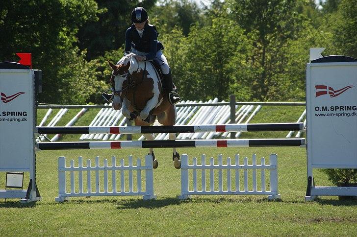 Anden særlig race Magic Sunnyboy B-pony - SJM ind. 2011 billede 3