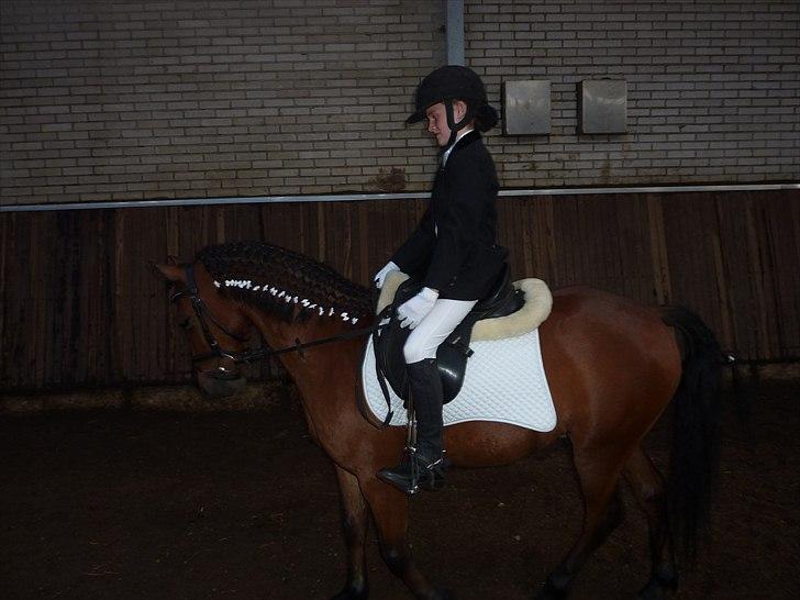 Anden særlig race Thanehøjs Mads billede 24