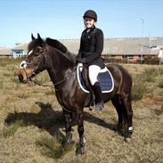 Anden særlig race Le fleur  