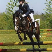 New Forest Joker 'solgt' :'(