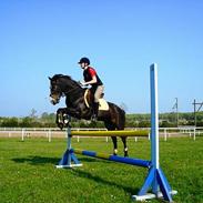 New Forest Joker 'solgt' :'(