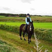 New Forest Joker 'solgt' :'(