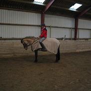 Anden særlig race Kenzo