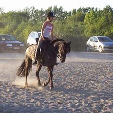 Anden særlig race Triumph 