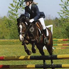 New Forest Joker 'solgt' :'(