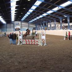 Welsh Cob (sec D) Kielshoop Honeyrose Solgt