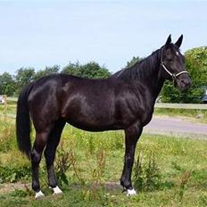 Traver Tenna Will*død 22/10-09*